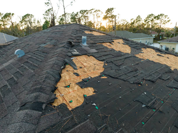 Best Roof Maintenance and Cleaning  in Sunset Beach, NC